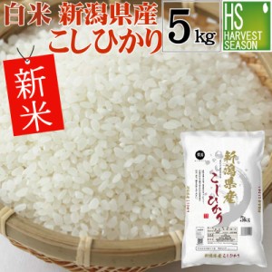 白米 令和5年産 新潟県産コシヒカリ 5kg [翌日配送] 送料無料 北海道沖縄へは別途送料760円