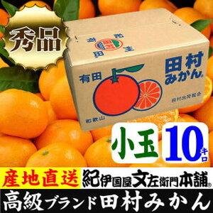 ふるさと納税 V6058_田村みかん 10kg 秀品  和歌山県湯浅町