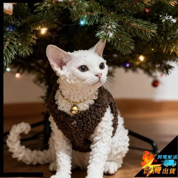 【台灣出貨】寵物衣服 狗衣服 狗馬甲 秋冬 貓咪開衫 貓咪馬甲 寵物毛絨背心 保暖洋氣 貓咪衣服