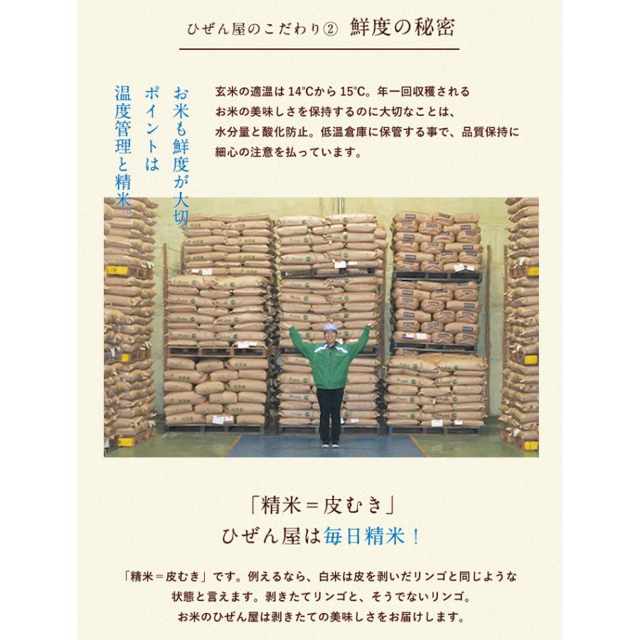 新米　米 お米 10kg 送料無料 若木 夢しずく 佐賀県産 武雄 産地限定米 令和5年度 5kg×2袋