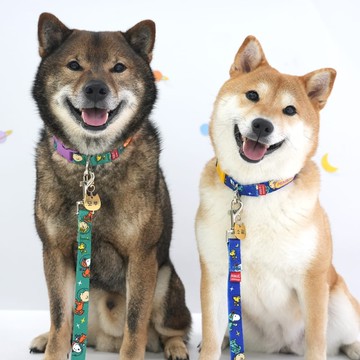 PEANUTS 史努比繽紛主題牽繩