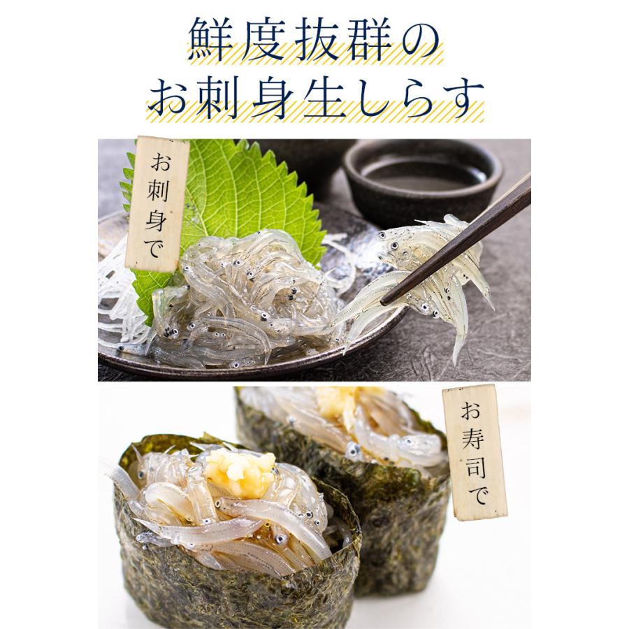 生シラス しらす お刺身生しらす1kg（200g×5パック）送料無料 瀬戸内海産 海鮮丼 yd5[[生シラス200g-5p]