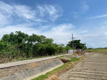 近萬坪將軍溪畔田｜台南市將軍區將軍段