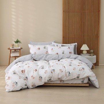 雙人薄被套床包組/ 100%精梳純棉 / 純棉 / 哈皮 [鴻宇] 台灣製 - C20163