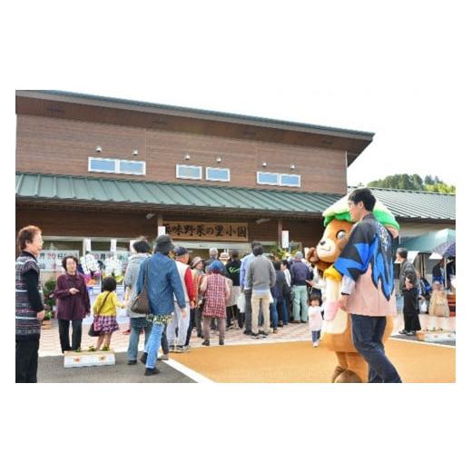 ふるさと納税 熊本県 小国町 阿蘇小国産・旬の野菜とお米５kgの詰め合わせ