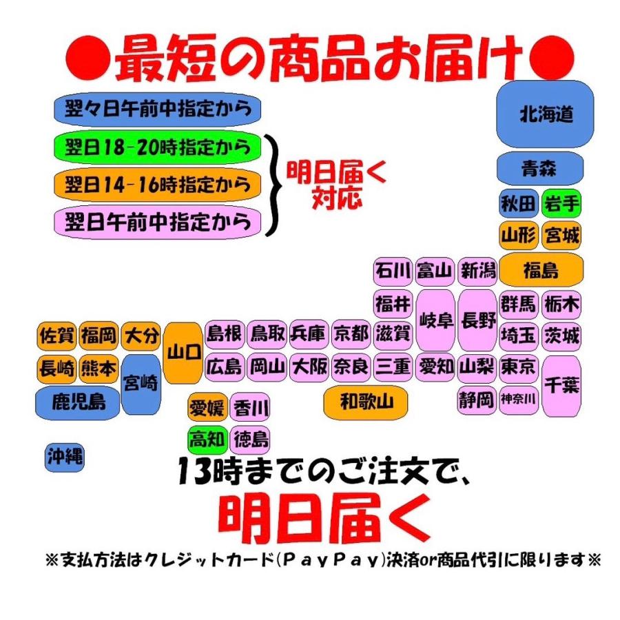 法事 お供え 果物 フルーツ かご盛り 特大 葬儀 御霊前 御仏前 お盆 お彼岸 送料無料 あすつく対応 冷蔵便対応不可※サイズ規格外