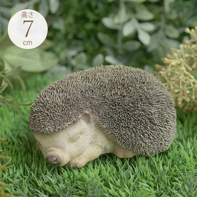 ハリネズミ おやすみ 動物 置物 かわいい 雑貨 ガーデニング オブジェ 野生 生物 庭 ガーデン 通販 Lineポイント最大0 5 Get Lineショッピング