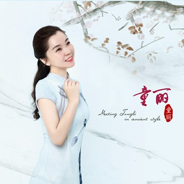 童麗專輯合集 | 值得收藏 國粵語英文民族車載無損音樂歌曲10CD碟