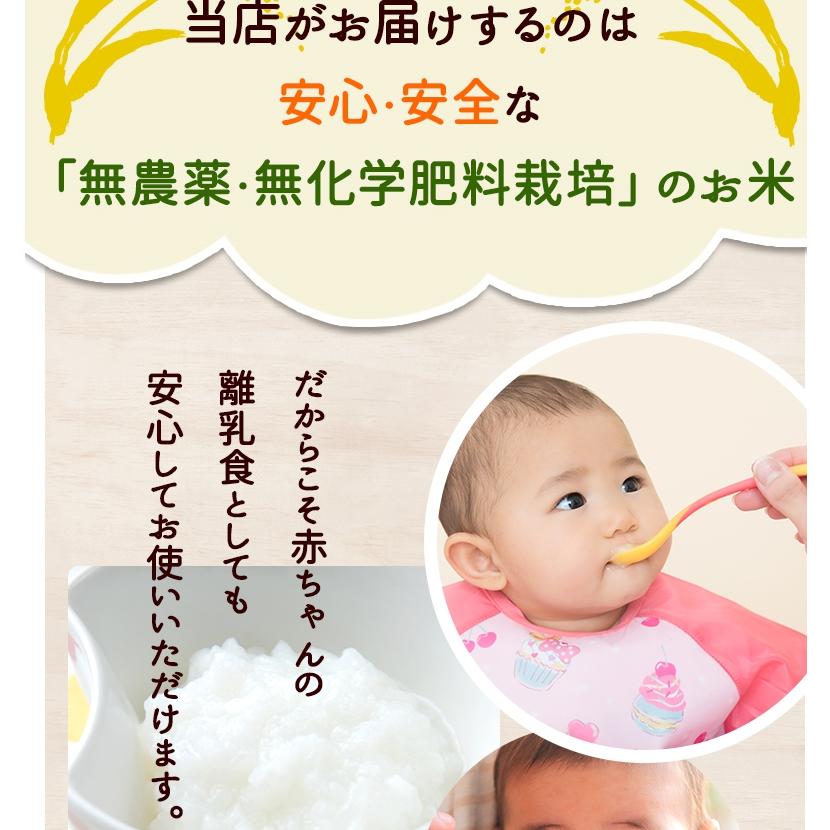 無農薬 玄米 米 10kg(5kg×2）無農薬 にこまる 令和5年福井県産 新米入荷 送料無料 無農薬・無化学肥料栽培