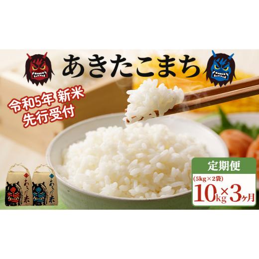 ふるさと納税 秋田県 男鹿市 定期便 令和5年産 あきたこまち 精米 10kg（5kg×2袋）3ヶ月連続発送（合計 30kg）秋田県 男鹿市