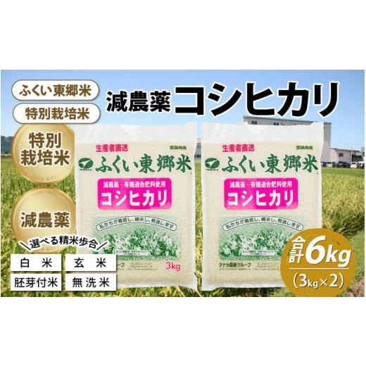 ふるさと納税 福井県 福井市 令和5年産 ふくい東郷米 特別栽培米 減農薬 コシヒカリ 3kg×2袋[A-020008_04]