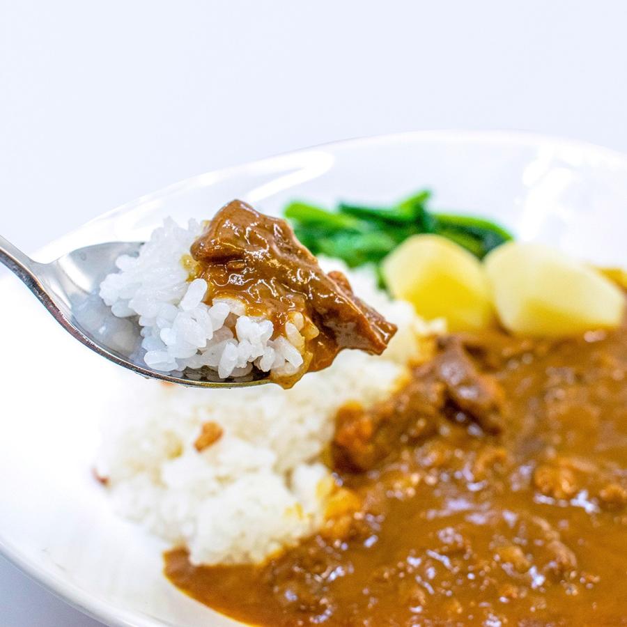 赤城牛カレーゴールドタイプ（G中辛）200g×2 国産牛 牛肉 レトルトカレー 鳥山 送料無料 内祝 御祝