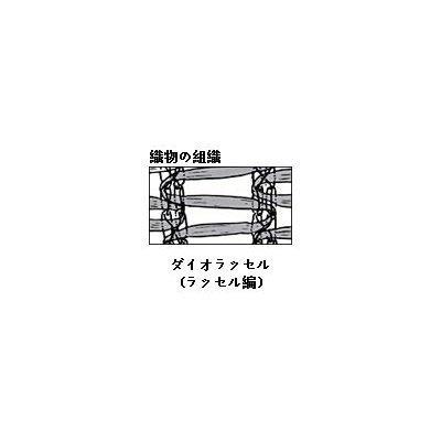 ダイオ化成 遮光ネット 黒 ダイオラッセル 2mx50m 農業用 園芸用品 家庭菜園 遮熱 ガーデニング