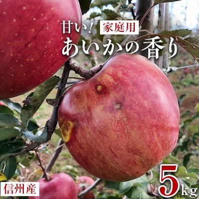 ふるさと納税 南箕輪村 甘い!希少!りんご　あいかの香り　5キロセット