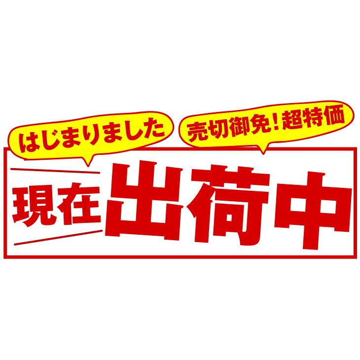 メロン 1玉 お買得クラウンメロン 静岡産 化粧箱 送料無料 食品