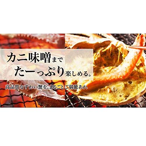 食の達人森源商店 姿ズワイガニ 高級カナダ産 ボイル済み 3kgセット(5〜6尾) カニ かに 蟹 味噌 グルメ