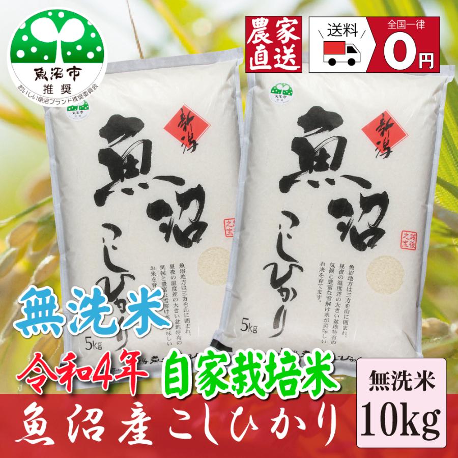 新米 お米１０ｋｇ 令和5年産 魚沼産コシヒカリ 無洗米5ｋｇ×２袋  安心安全 農家直送 信頼と品質のお米 魚沼市推奨コシヒカリ 送料無料