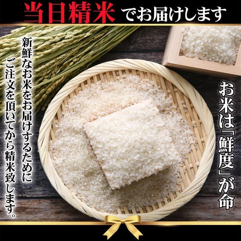 当日精米山形県産 はえぬき 30kg 紙袋 令和4年度産 (1分づき 9.9kg×3袋)