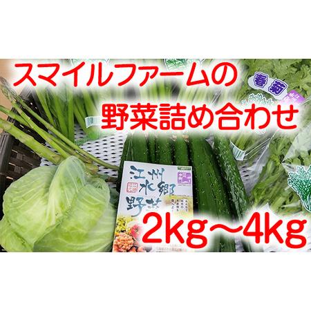 ふるさと納税 近江農家野菜詰め合わせセット２kg〜４kg 滋賀県近江八幡市