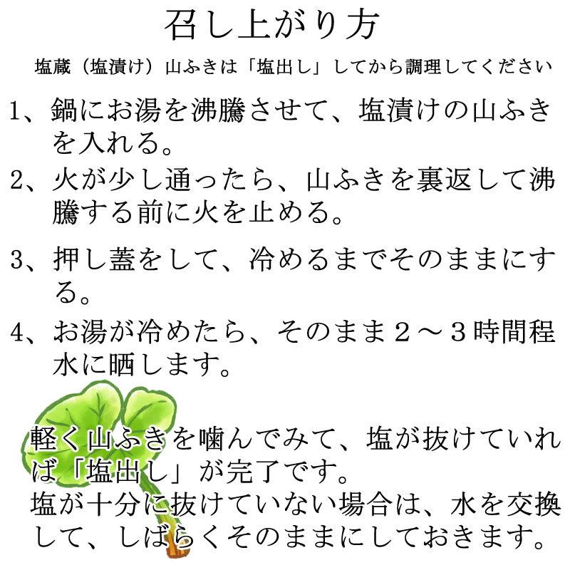 山形県飯豊町産 天然山菜 山ふき塩蔵 1kg 数量限定 送料無料 塩漬け メール便 クリックポスト