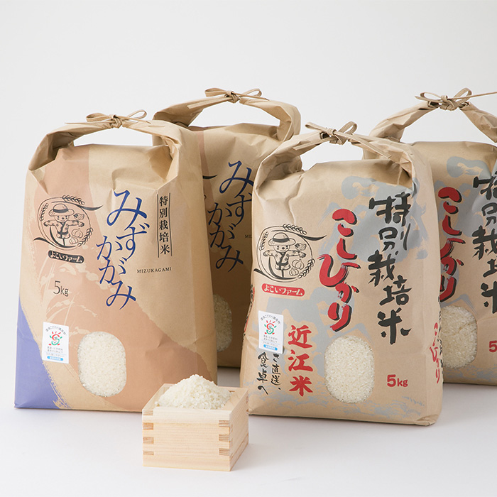 よこいファーム 特別栽培米食べ比べセットＢ ［高島屋選定品］