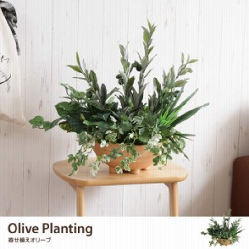 G Olive Planting 寄せ植えオリーブ 人工植物 観葉植物 光触媒 水やり不要 お手入れ不要 グリーン リアル 通販 Lineポイント最大5 0 Get Lineショッピング