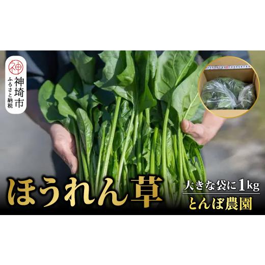 ふるさと納税 佐賀県 神埼市 ほうれん草 1kg バラ詰め（大きな袋に1kg）(H091110)