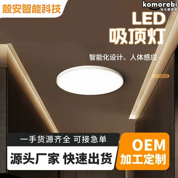 【無線免佈線】人體感應燈 吸頂燈 樓道燈 過道燈 充電式 免打孔安裝 磁吸固定 智能光控 入戶門樓梯儲物間必備