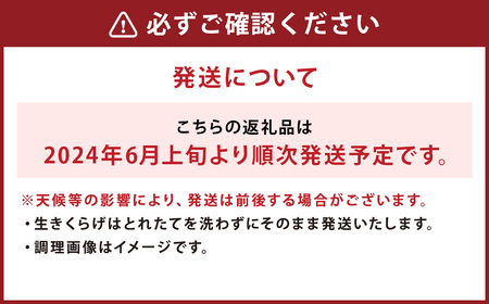  国産 生きくらげ 1kg（ご家庭用）