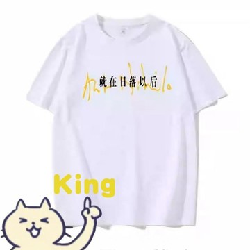 【KING】孫燕姿演唱會周邊短袖 T 恤男女粉絲應援潮流穿搭就在日落以後同款燕窩歌迷專屬寬鬆透氣夏季休閒素 T 情侶