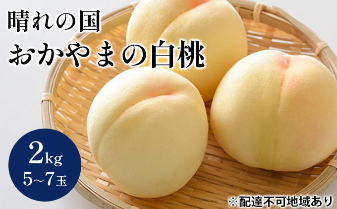 桃 2024年 先行予約 晴れの国 おかやま の 白桃 2kg 5～7玉 もも モモ 岡山県産 国産 フルーツ 果物 ギフト