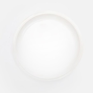 ZONE Eau白瓷平盤21.5cm 象牙白