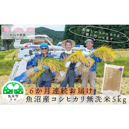 ふるさと納税 さくらや農園 魚沼産コシヒカリ  無洗米5kg　6ヶ月連続お届け 新潟県魚沼市