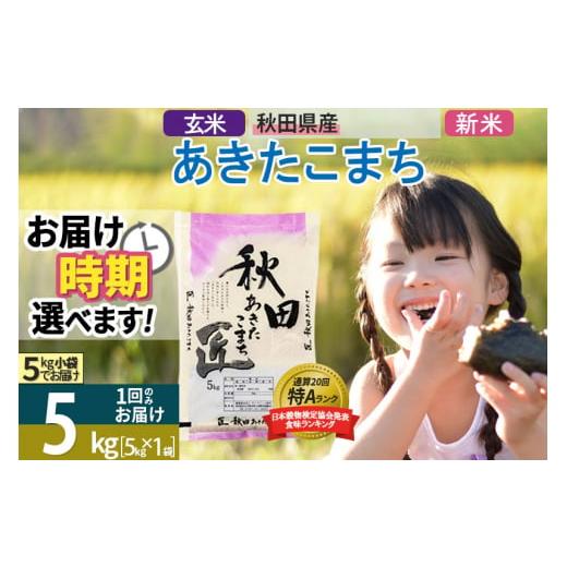 ふるさと納税 秋田県 仙北市 ＜新米＞ 秋田県産 あきたこまち 5kg (5kg×1袋) 令和5年産 時期選べる 5キロ お米 発送時期が選べる