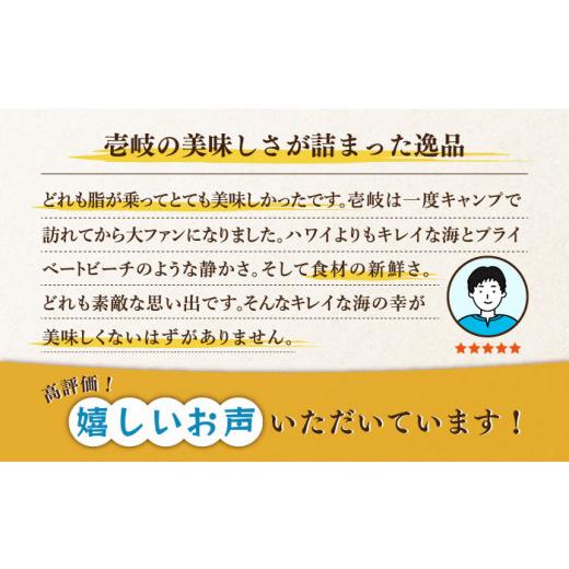 ふるさと納税 長崎県 壱岐市 ひものや つかもとの旬のおまかせ干物詰め合わせB [JDR012] 干物 ひもの みりん干し おまかせ 詰め合わせ アジ あ…