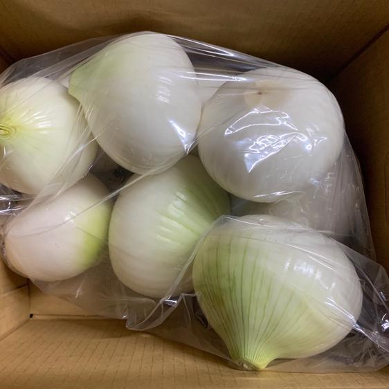 野菜 玉ねぎ 訳有り白剥き5kgお買い得淡路島玉ねぎ白剥き 産地直送