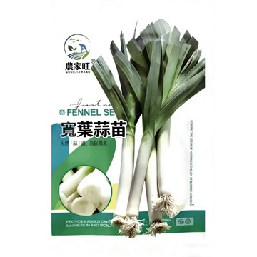 原裝現貨 宽叶蒜苗白根種子 四季可栽 寬葉蒜苗 白根蔥種 家庭盆栽 蔬菜種子 香辛調味 陽台菜園 容易種植 當日發貨