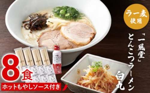 ラー麦使用「一風堂」とんこつラーメン 白丸(8食)