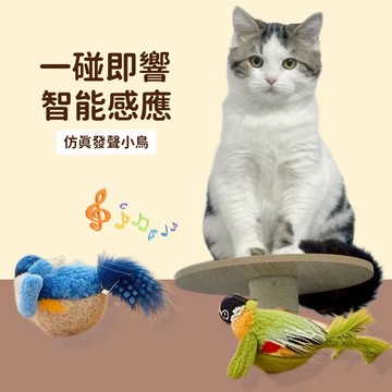 🚀熱賣 🐾仿真小鳥貓玩具 寵物玩具 貓咪發聲玩具 貓薄荷玩具 逗貓神器 幼貓自嗨解悶玩具 小貓互動玩具 耐抓耐咬