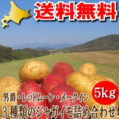 じゃがいも　北海道　３種類のじゃがいも詰合せ　５ｋｇ　送料無料