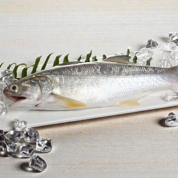 【一夫水產】產銷履歷午仔魚