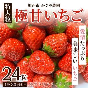 ふるさと納税 かぐや農園の極甘 いちご 特大粒 24粒 兵庫県加西市