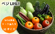 旬の野菜セットMサイズ (約8~9品)