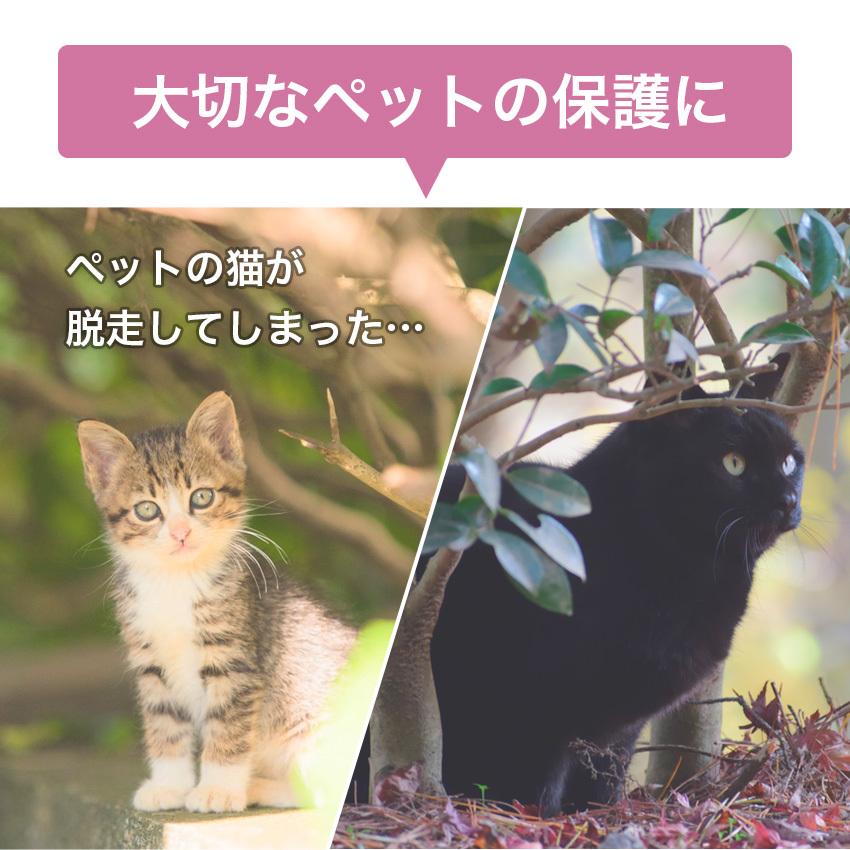 捕獲機 捕獲器 猫 犬 捕獲 Mサイズ 踏板式 迷子猫 迷子 野良 野生 動物 保護