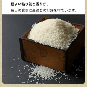 訳あり 定期便 新米 10kg 3ヶ月 京都丹波米 こしひかり 白米 3回定期便 10kg×3回 計30kg ※精米したてをお届け《緊急支援 米・食味鑑定士 選 コシヒカリ 京都丹波産 特Ａ》 ※毎月1回又は2カ月に1回 ※北海道・沖縄・離島への配送不可