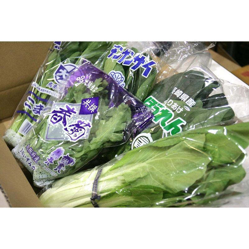 おうち野菜セット 葉物5種類 ほうれん草 チンゲンサイ 小松菜 など