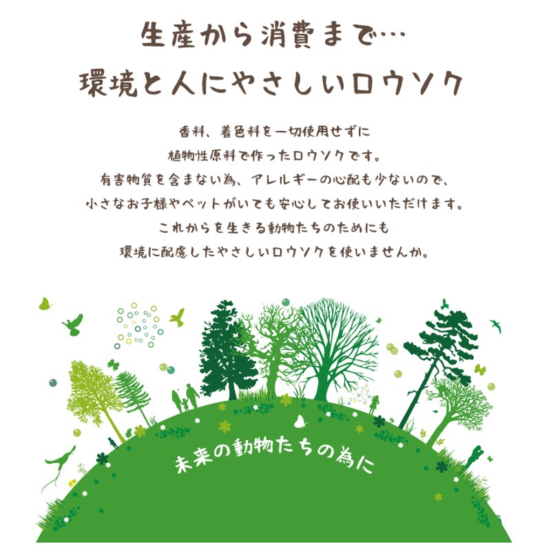 半額SALE☆ Ｈ 仏具 植物性原料 菜 ろうそく 仏壇 カメヤマローソク ３０ 植物 御供