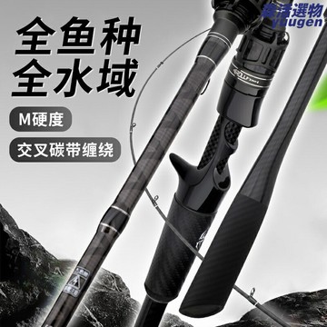【淡海兩用遠投】路亞竿 泛用路亞竿 遠投竿 海釣竿 槍柄竿 直柄竿 M調中快調 高碳素材質 領主三代 溪流海釣通用