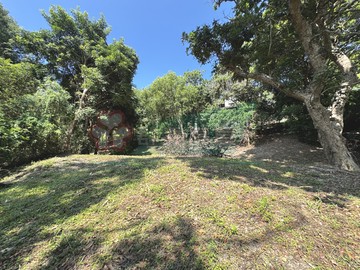 承義漁伯專任通霄社區型農地｜苗栗縣通霄鎮楓樹窩