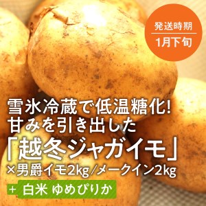 旬のお野菜「越冬ジャガイモセット」